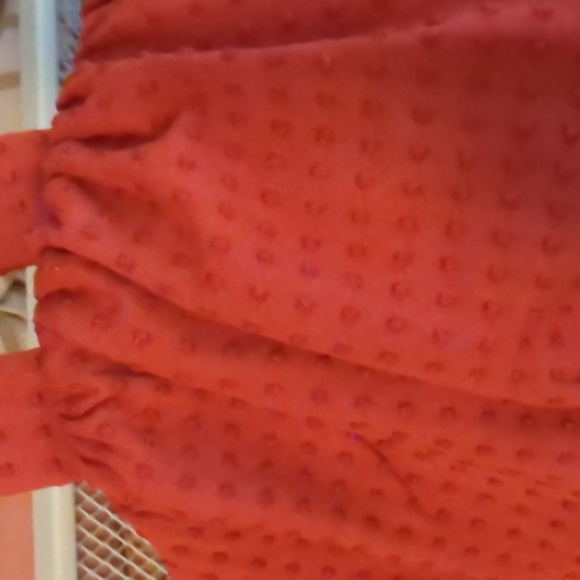 Embossed Dot Ruffle Medium Coverage One Piece Swimsuit - RHODE X Target, 1X - Picture 3 of 5